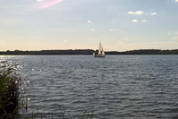 Ein Segelboot segelt unter blauem Himmer über den Cospudener See.