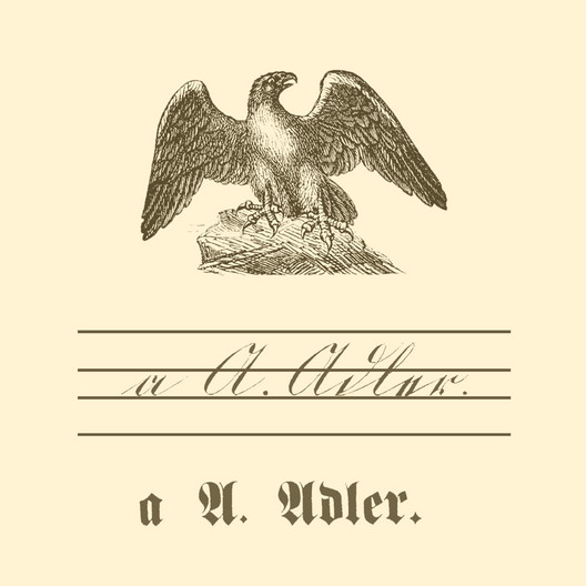 Übungstafel einer deutschen Fibel von 1886 mit Motiv Adler, sowie kleinem und großem Buchstaben "A" in Schreib- und Druckschrift.