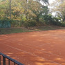 Ein roter Tennisplatz umgeben von Gebüsch