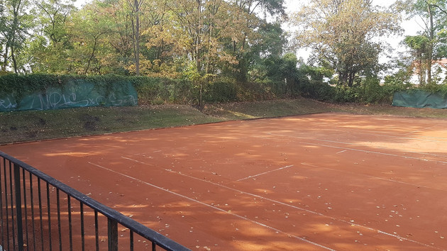 Ein roter Tennisplatz umgeben von Gebüsch