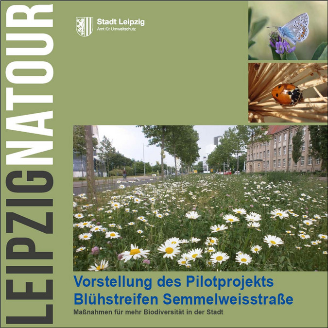 Titelblatt der Broschüre Leipzig NaTour "Pilotprojekt Blühstreifen Semmelweisstraße"