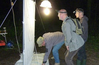 Insektenkundler in der Nacht mit einem Fangnetz