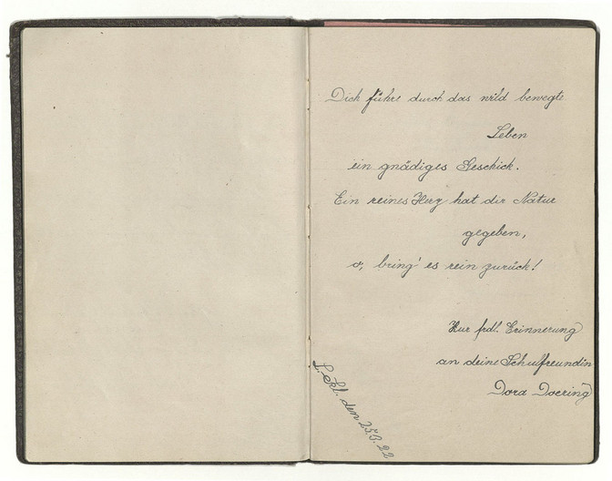 Handschriftlicher Eintrag in einem alten Poesiealbum