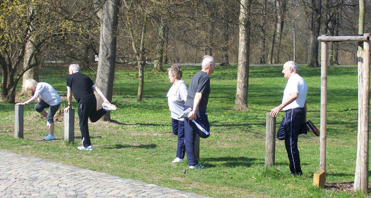 Senioren bei Dehnungsübungen in einem Park