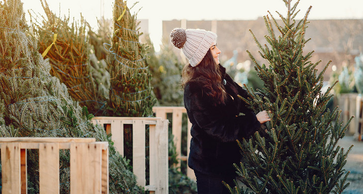 Eine Frau mit Bommelmütze sucht sich einen Weihnachtsbaum aus