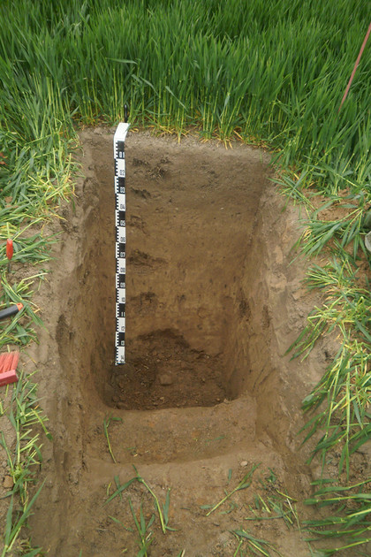 Ein gegrabenes Loch auf einem Feld mit einem Messstab.
