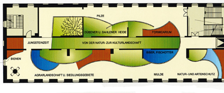 Plan einer Raumgestaltung des Naturkundemuseums