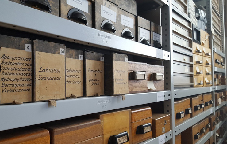 Alte Archivschränke