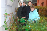 Vier Menschen gießen neu gepflanzte Kletterpflanzen an einer Häuserwand.