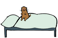Grafik mit Murmeltier Manni, das auf einem Bett sitzt