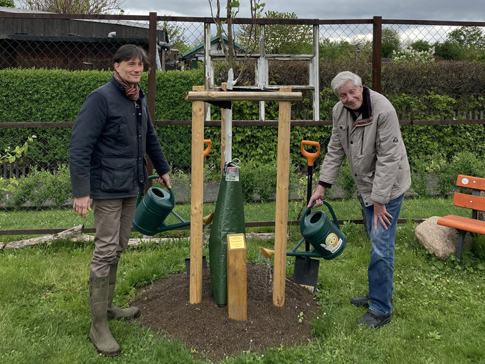 Vor einem neu gepflanzten Baum stehen Bürgermeister Heiko Rosenthal und ein weiterer Mann.