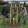 Vor einem neu gepflanzten Baum stehen Bürgermeister Heiko Rosenthal und ein weiterer Mann.