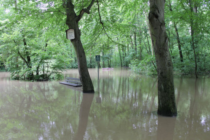 Vorderansicht der überschwemmten Burgaue im Leipziger Auwald während des Hochwassers 2013