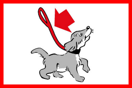 Logo mit Grafik eines Hundes an der Leine mit rotem Pfeil der auf die Leine gerichtet ist.