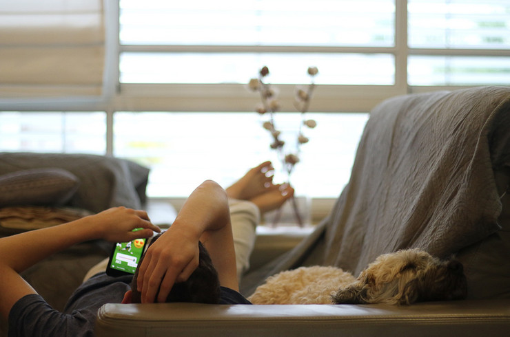 Ein Junge liegt mit Handy in der Hand und Hund neben sich auf dem Sofa