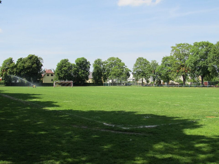 Fußballplatz umringt von Bäumen an der Albersdorfer Straße.