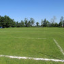 Grüne Rasenfläche eine Fußballfeldes mit weiß markierten Linien. Am anderen Ende der Fläche steht ein großes Fußballtor.