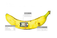 Eine Banana mit angeklebter Computertechnologie