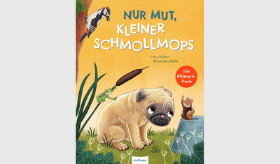 Cover des Buches Nur Mut, kleiner Schmollmops von Lucy Astner und Alexandra Helm. Ein ängstlicher Mops sitzt auf einer Wiese und bekommt Zuspruch von einem Frosch, einem Hamster und einem Specht.