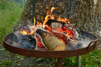 Eine Feuerschale mit brennenden Holzscheiten steht auf einer Wiese