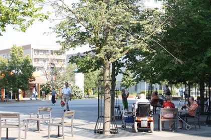 Mehrere ältere Bürger sitzen unter Bäumen auf dem Marktplatz in Grünau