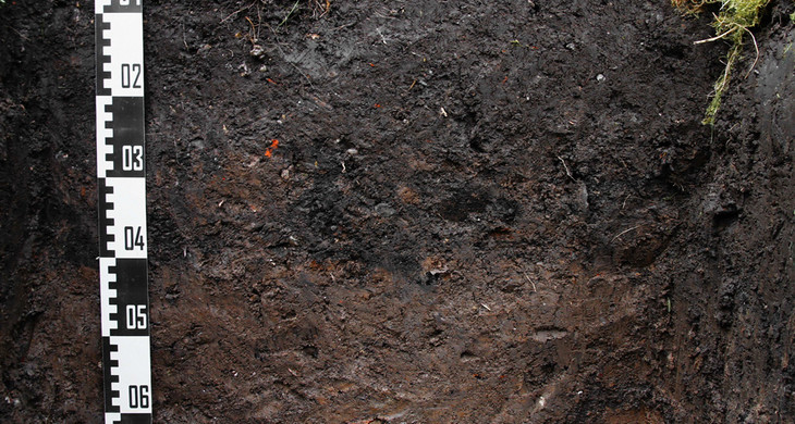Ein Stück aufgegrabener Boden mit einem Messstab. Ober ist die Rasenkante zu sehen und unten steht etwas Wasser.