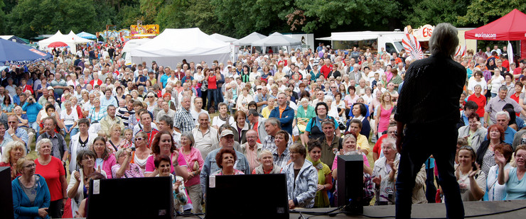 Sänger auf der Bühne beim Schönauer Parkfest mit viel Publikum