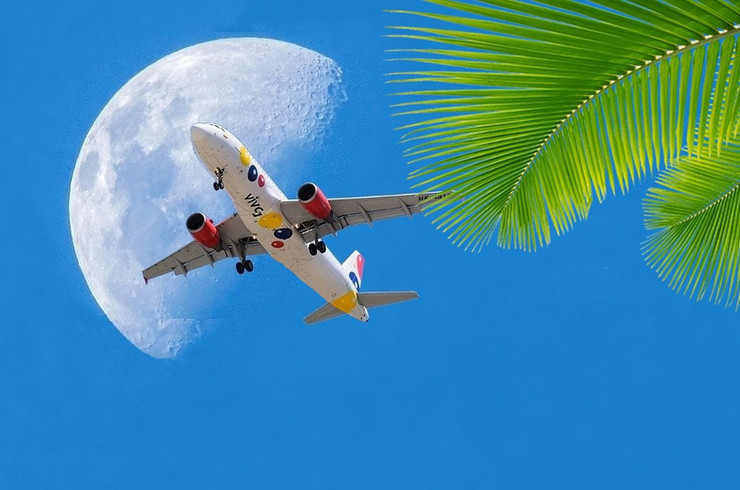 Flugzeug am blauen Himmel mit Palmen