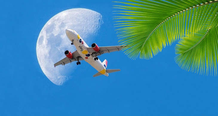Flugzeug am blauen Himmel mit Palmen
