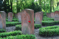 Gedenkstein auf dem Ostfriedhof mit roter Rose