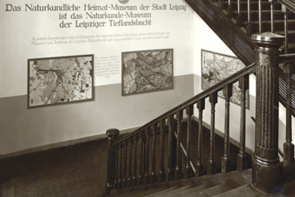 Historisches Foto des Treppenaufganges im Naturkundemuseum Leipzig