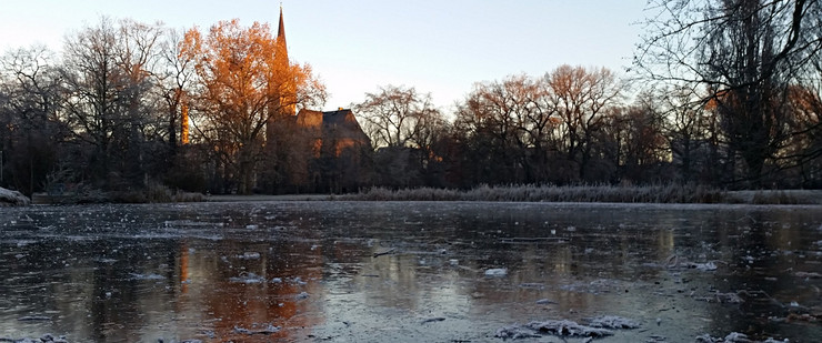 Eisfläche auf einem Teich im Johannapark. Hinter kahlen Bäumen ist eine Kirche sichtbar.