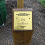 Holzstele mit Plakette, die Informationen zur Baumpflanzung enthält.