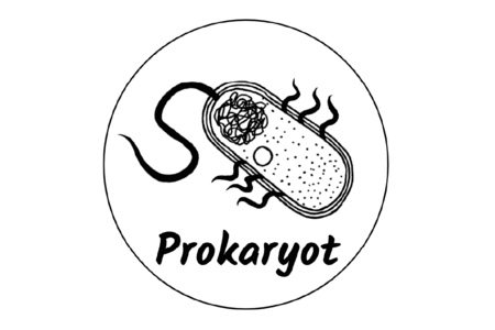 Grafik, die einen Prokaryoten zeigt
